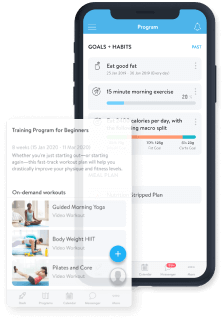 Video workouts in client programs